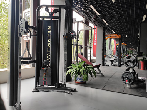 大飛鳥(niǎo)和小飛鳥(niǎo) 大飛鳥(niǎo)和小飛鳥(niǎo)